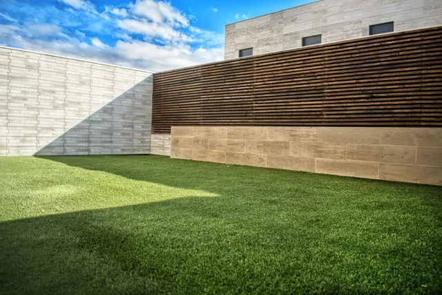 DSC_0039-01.jpeg DSC_0039-01.jpeg