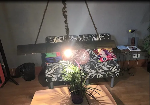 lampara.jpg lampara.jpg