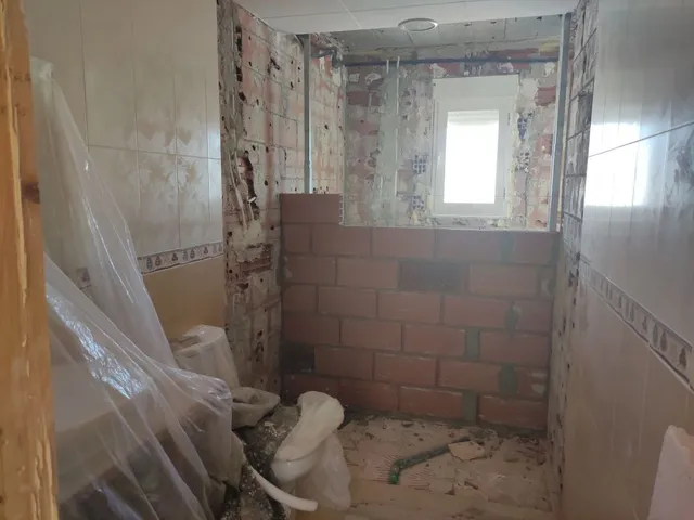 IMG_20211103_120503.jpeg IMG_20211103_120503.jpeg