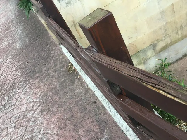 B837190F-6946-4FDE-884A-0832C4B8496D.jpeg B837190F-6946-4FDE-884A-0832C4B8496D.jpeg