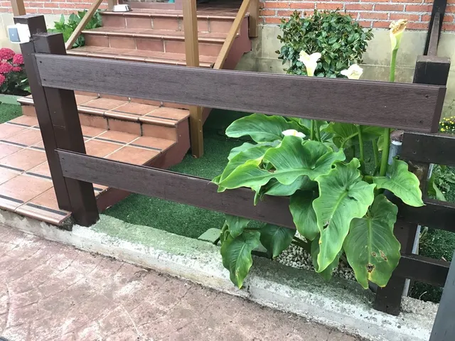 2B1DBA71-3D42-4C40-A793-CDA7F8972070.jpeg 2B1DBA71-3D42-4C40-A793-CDA7F8972070.jpeg