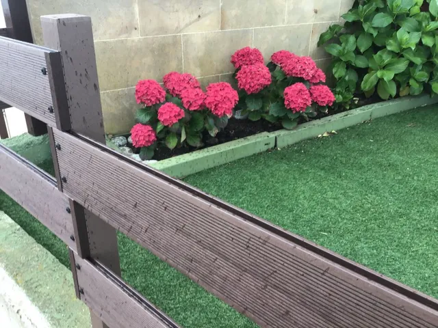 8040204C-4DFC-40BF-8108-F90F2B3B34AC.jpeg 8040204C-4DFC-40BF-8108-F90F2B3B34AC.jpeg