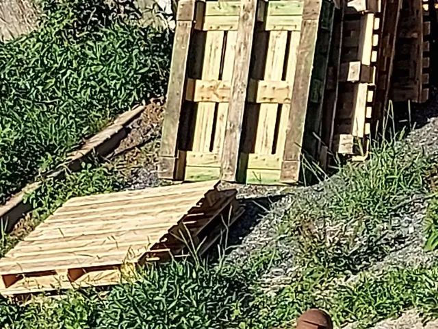20220727_183620.jpg 20220727_183620.jpg