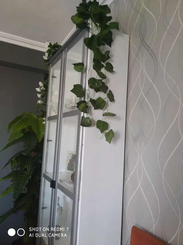 IMG_20220728_104709.jpg IMG_20220728_104709.jpg