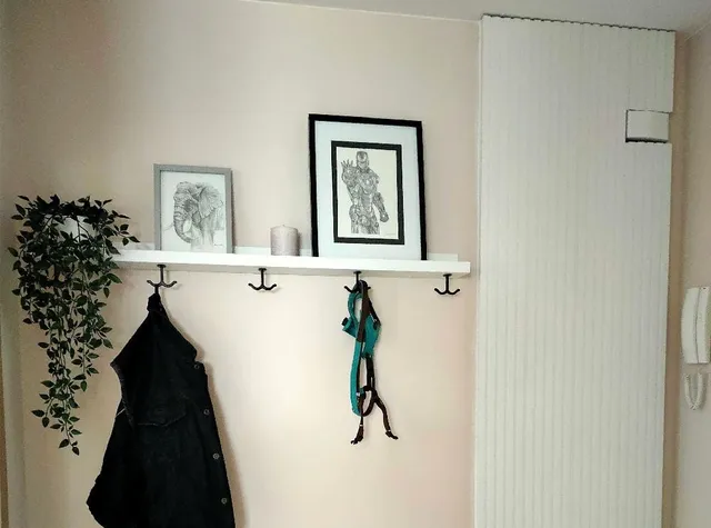 Ocultación de cuadro eléctrico y nueva imagen de mi hall