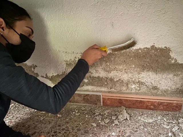 pared3.jpg pared3.jpg