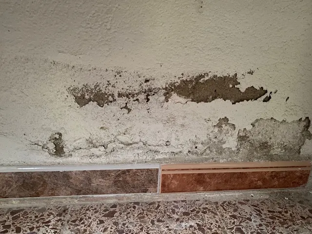 pared1.jpg pared1.jpg