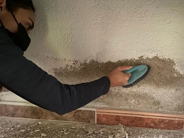 pared5.jpg pared5.jpg