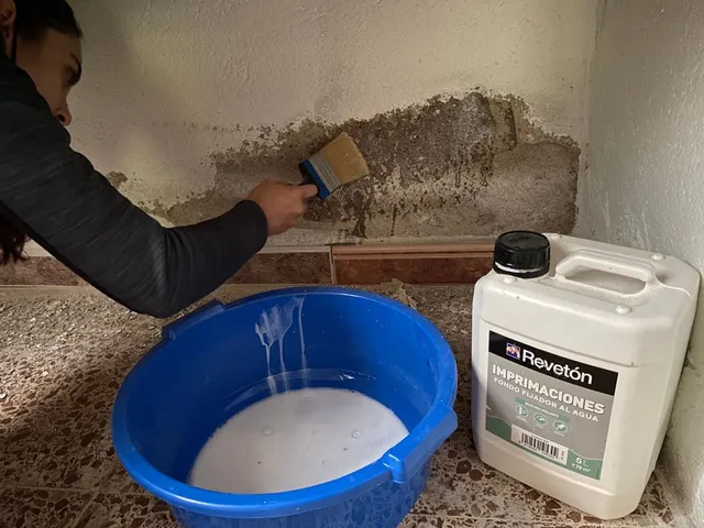 pared 6.jpg pared 6.jpg