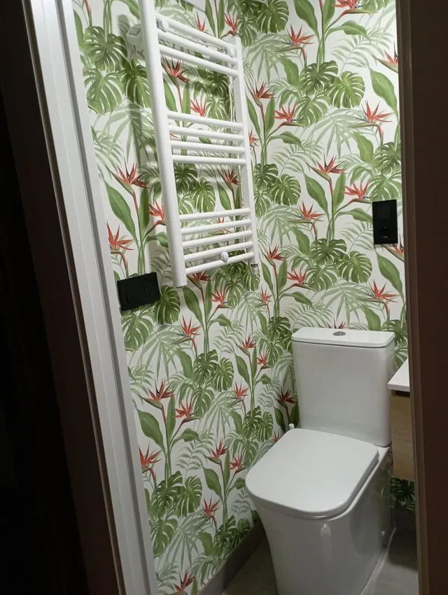 IMG_20221026_233054.jpg IMG_20221026_233054.jpg