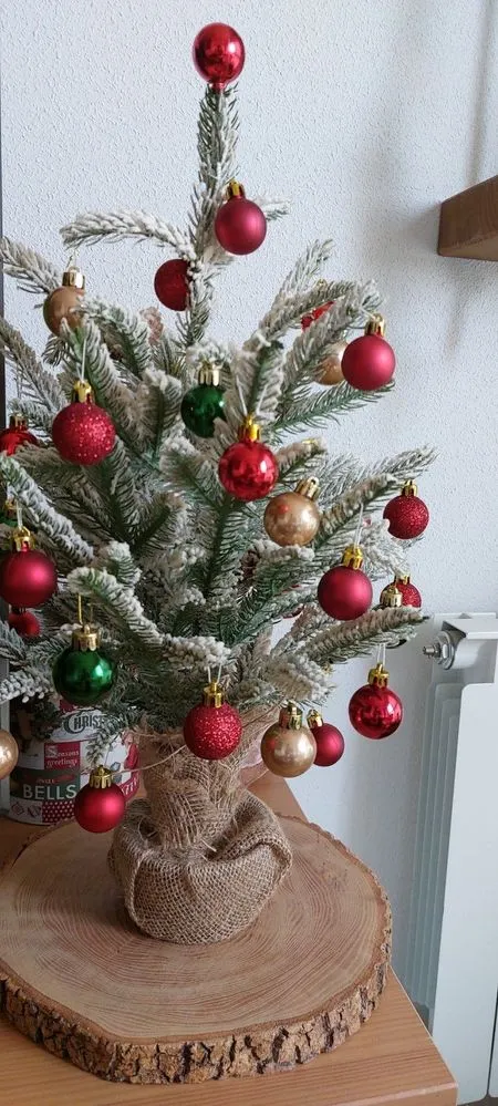 20221127_154644.jpg 20221127_154644.jpg