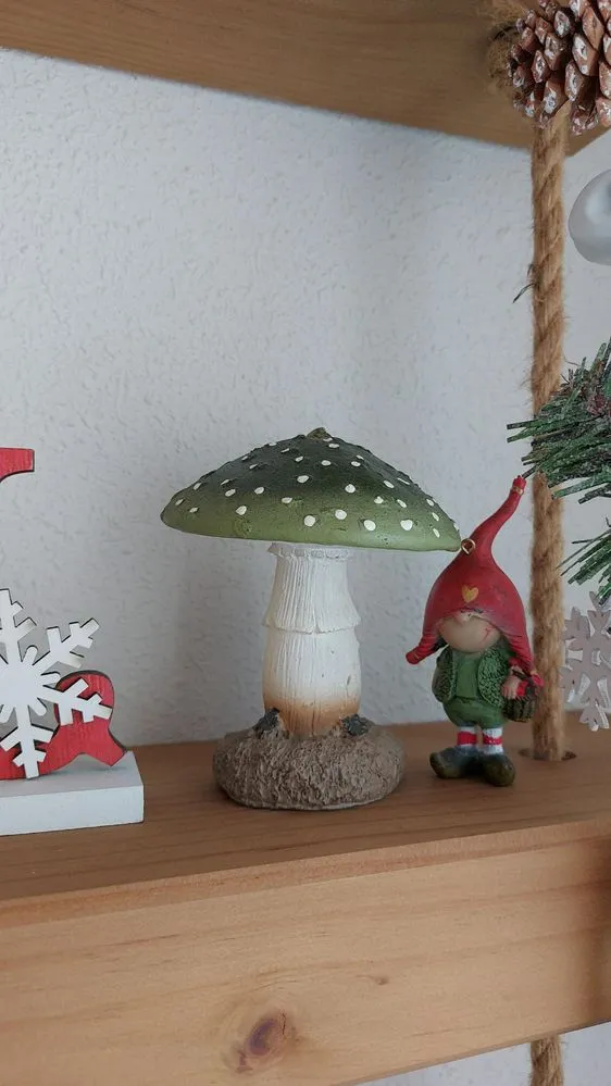 IMG-20221127-WA0019.jpeg IMG-20221127-WA0019.jpeg