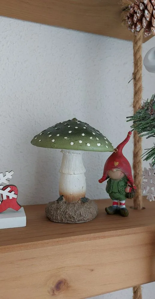 IMG-20221127-WA0019.jpeg IMG-20221127-WA0019.jpeg