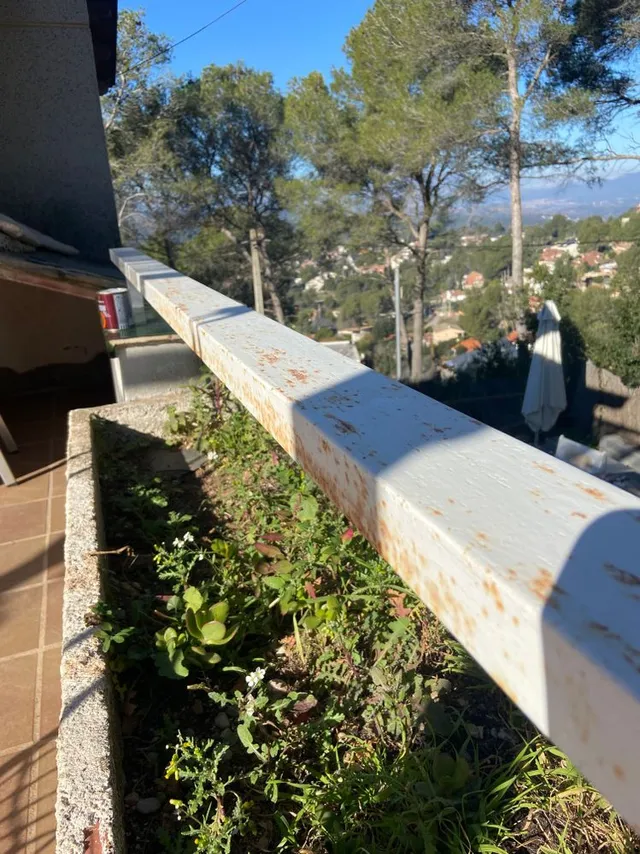 9D1F7B65-A14C-4167-BA84-029DBA4509C8.jpeg 9D1F7B65-A14C-4167-BA84-029DBA4509C8.jpeg