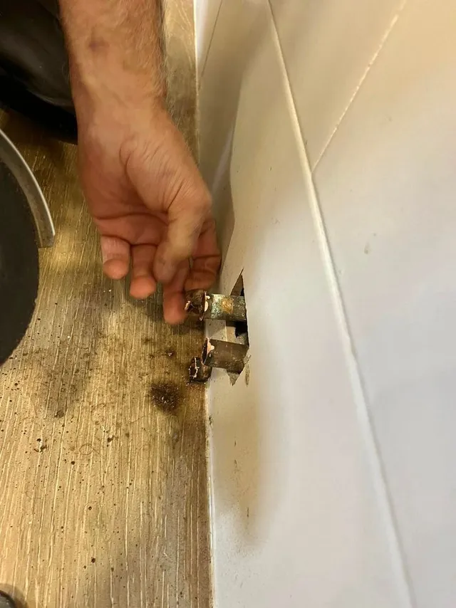 CA916058-A849-4FD0-B891-423055E64F17.jpeg CA916058-A849-4FD0-B891-423055E64F17.jpeg