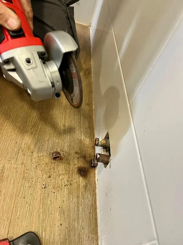 7A4A95FD-20C4-450C-9C6E-1F84C66F5D68.jpeg 7A4A95FD-20C4-450C-9C6E-1F84C66F5D68.jpeg