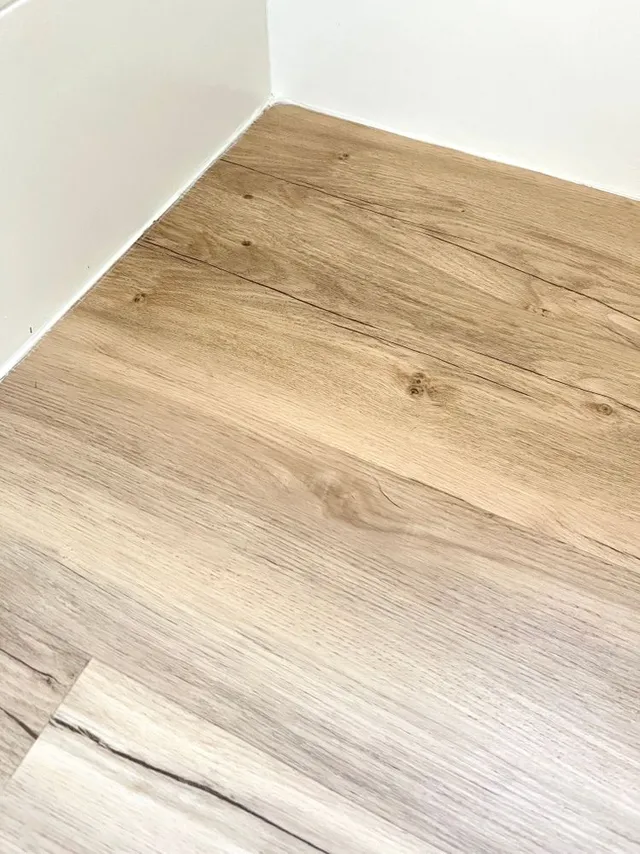 68140E82-77EF-410B-A4F1-CDE9DC43B260.jpeg 68140E82-77EF-410B-A4F1-CDE9DC43B260.jpeg