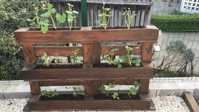 Construye un huerto vertical con un palet