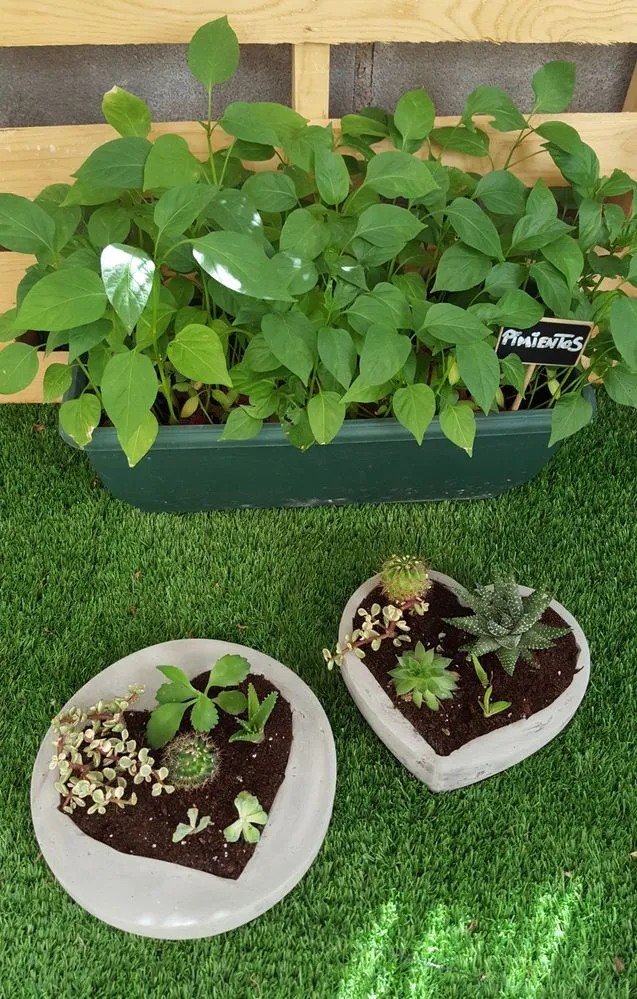 20160906_110302.jpg 20160906_110302.jpg