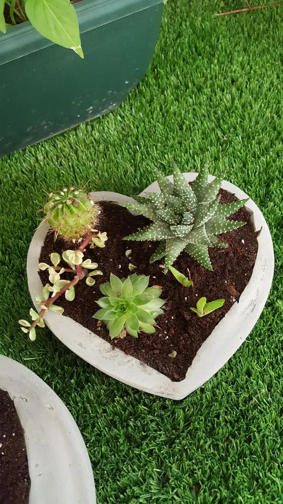 20160906_110157.jpg 20160906_110157.jpg