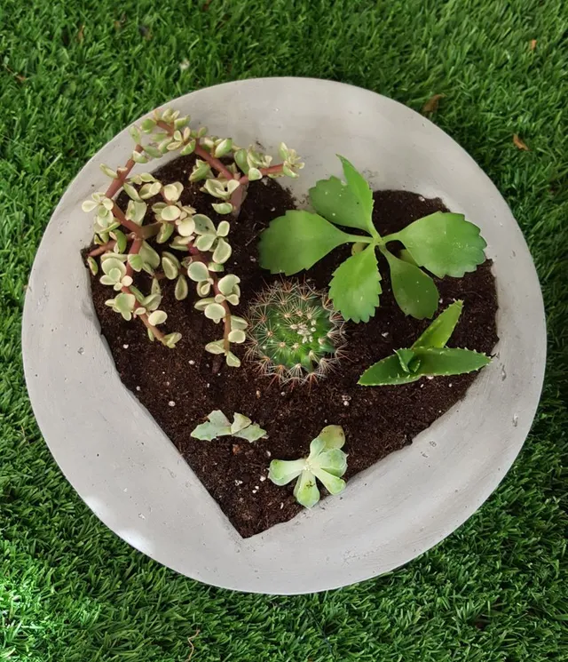 20160906_110203.jpg 20160906_110203.jpg