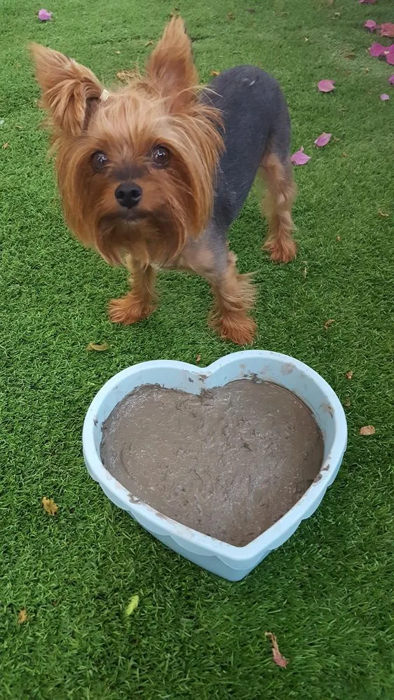 20160905_185352.jpg 20160905_185352.jpg