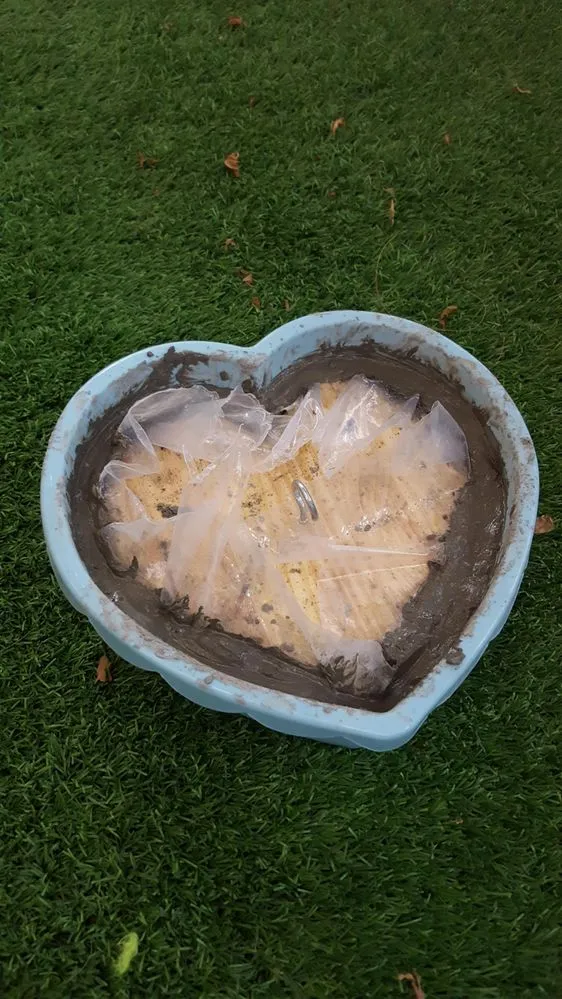 20160905_190811.jpg 20160905_190811.jpg