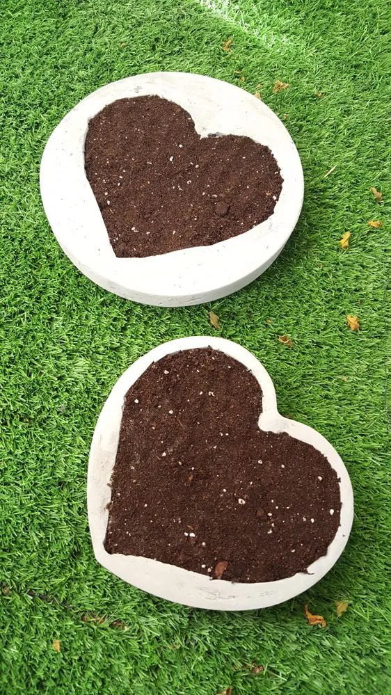 20160906_102555.jpg 20160906_102555.jpg