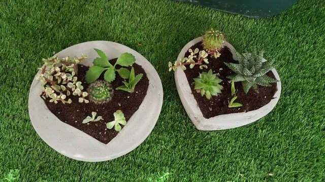 20160906_110143.jpg 20160906_110143.jpg