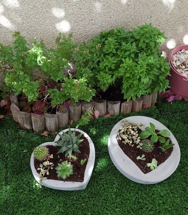 20160906_114115.jpg 20160906_114115.jpg