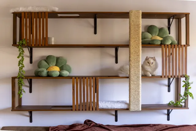 Cómo hacer un gimnasio para gatos con materiales fáciles | mueble DIY