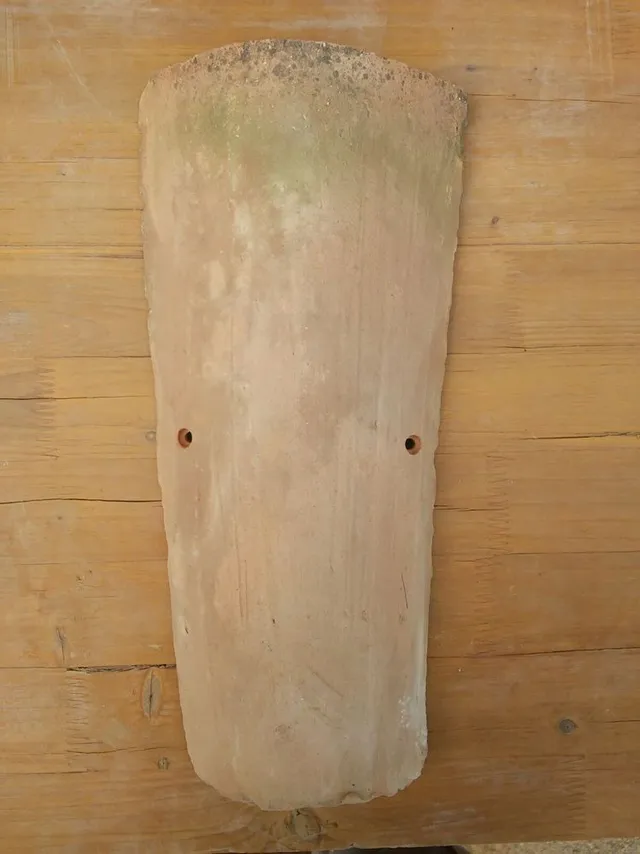 IMG-20160913-WA0009.jpg IMG-20160913-WA0009.jpg