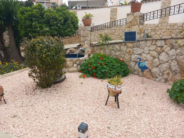 Reforma del jardín: instalación de un estanque