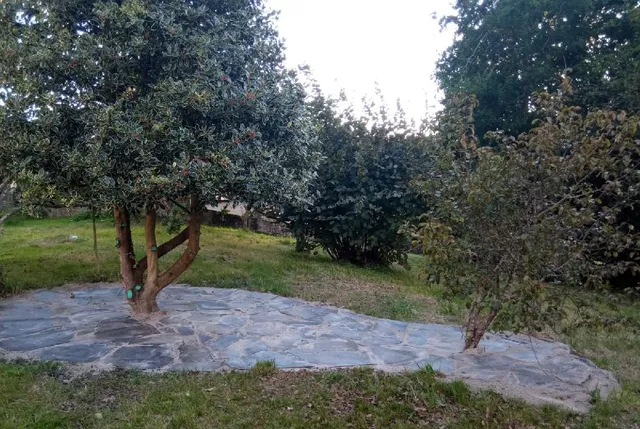 Instalación de pizarra en parte del suelo del jardín