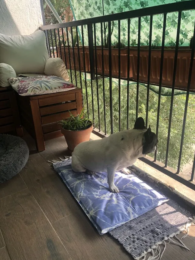 Mi terraza, mi pequeño jardín
