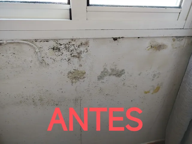 ELIMINACIÓN DE HUMEDADES HONGOS Y MOHO