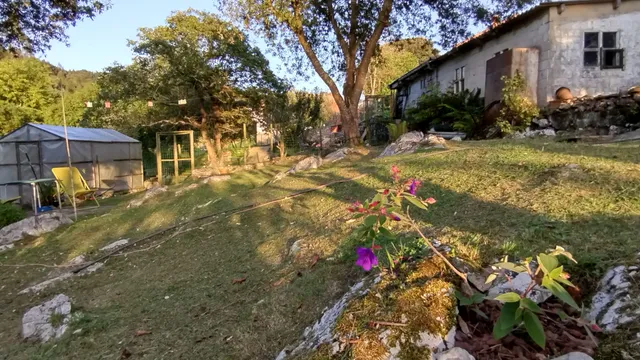 casa del árbol #PremiosClubLeroyMerlin