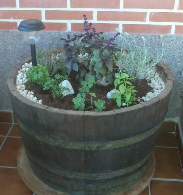 DIY de un mini huerto con barriles maceteros