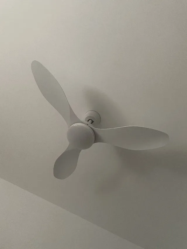 Ventilador de techo
