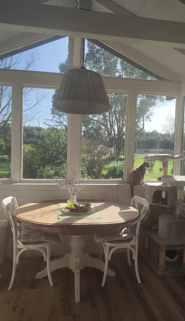 Mi lugar preferido de mi hogar😻🐾🐾🌱🪻🌷🌅